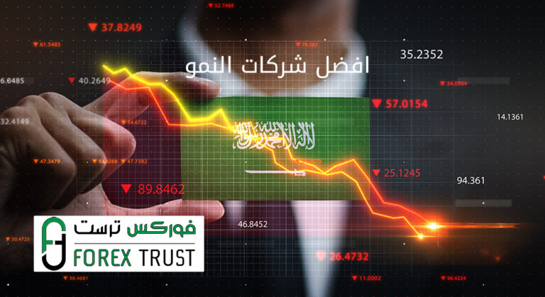 افضل شركات النمو في السوق السعودي