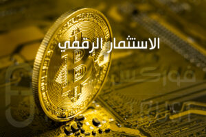 الاستثمار الرقمي