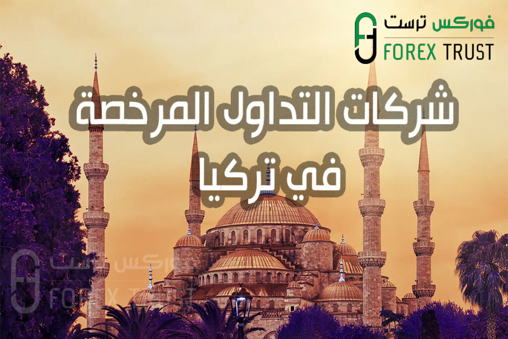 شركات التداول المرخصة في تركيا